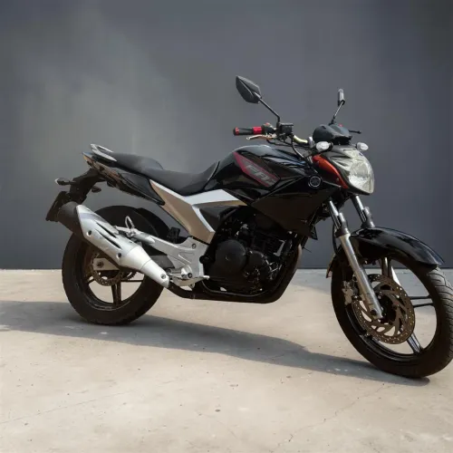 Fazer 250 2012
