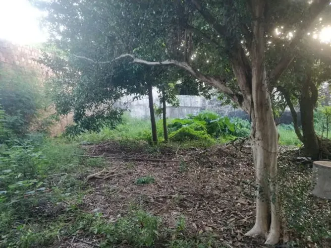 Comercial Interlagos