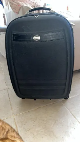 Mala Lansay Média