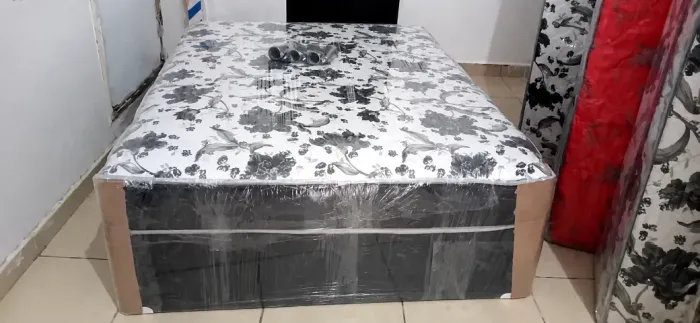 Casal espuma D33 entrega hoje 