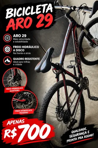 Bicicleta aro 29