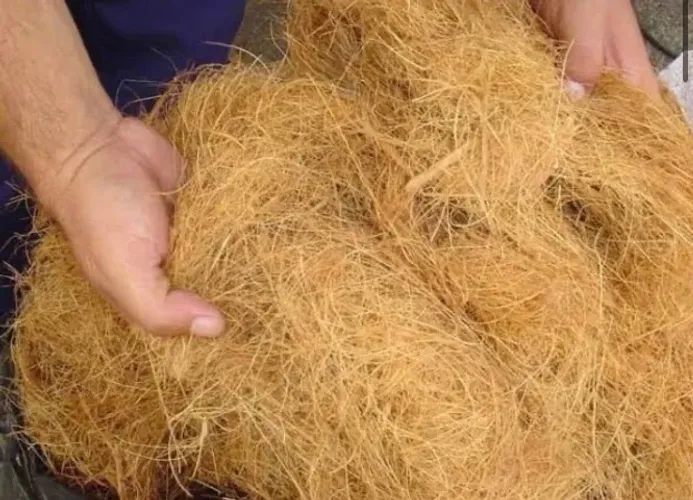 Fibra de côco