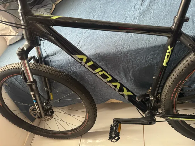 Bicicleta audax