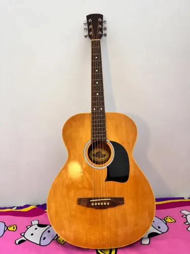 Violão Acústico George Washburn Lyon - Cor Natural | Usado