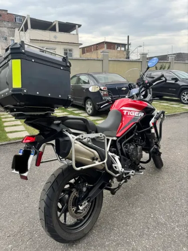 Tiger 900 GT Aragón 23/24 