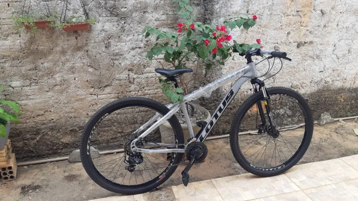 Bicicleta