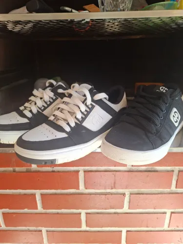 Tenis