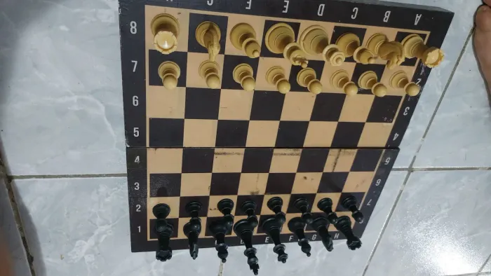 Tabuleiro de xadrez e Dama