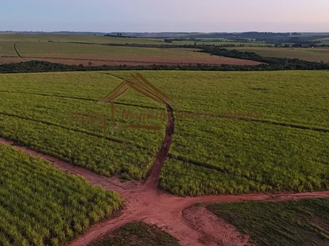 Fazenda à venda com 114 alqueires na região de São Manuel