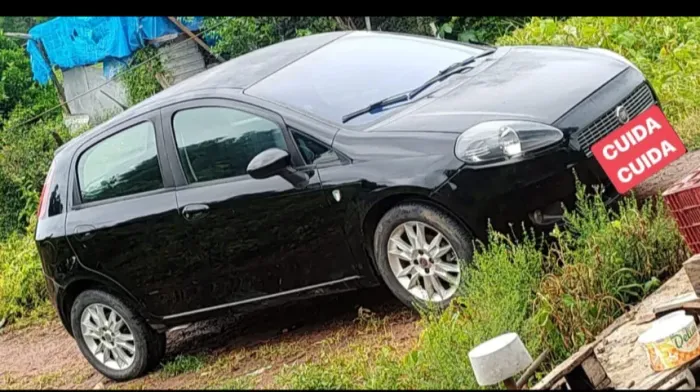 Fiat Punto Attractive Italia 1.4 F.flex 8V 5P 2012