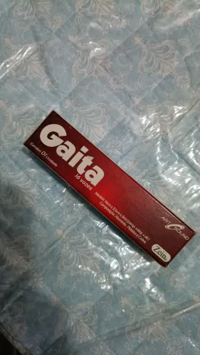 Gaita 16 vozes nova