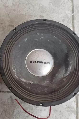 Alto falante Selenium 12 polegadas 
