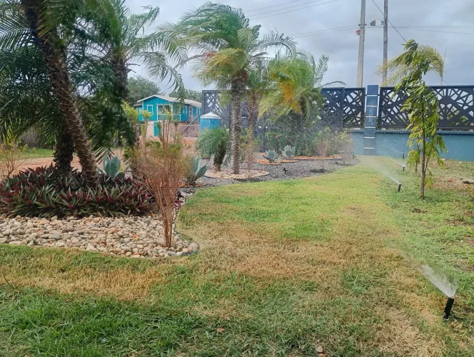 Grama Esmeralda Instalada 