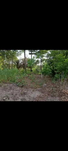 Venda 7 hectares
