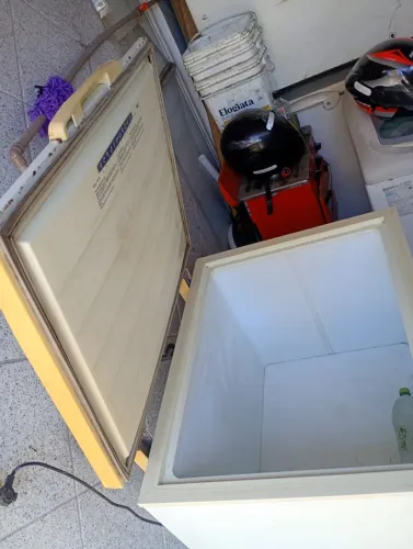 Freezer Electrolux