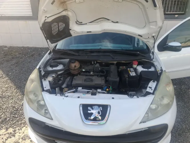 Peugeot 207 XR 1.4 Flex 8V 5P 2011