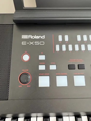Teclado Roland E-X50