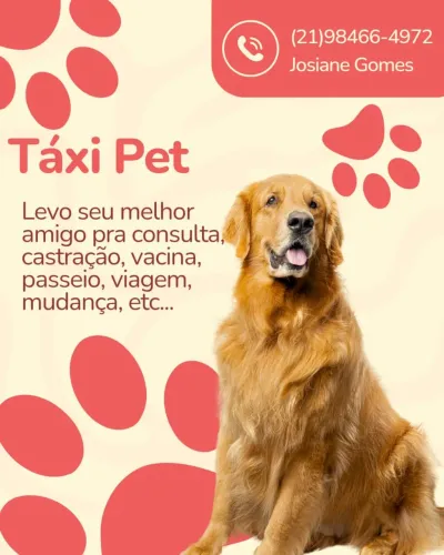Táxi dog 