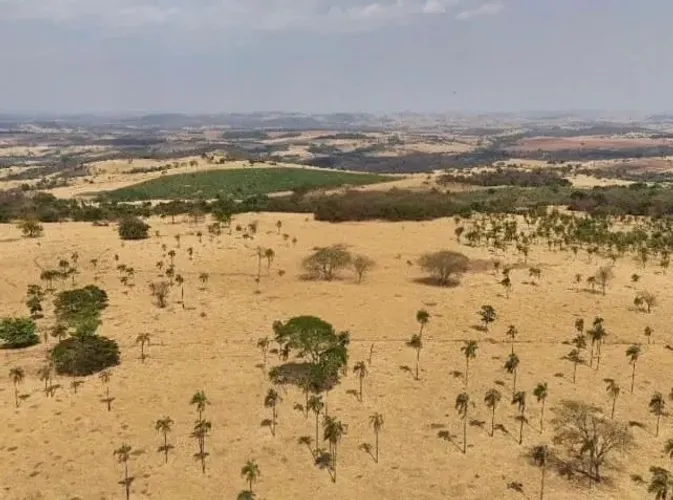 Fazenda à venda 47 alq de cultura em Itauçu-GO