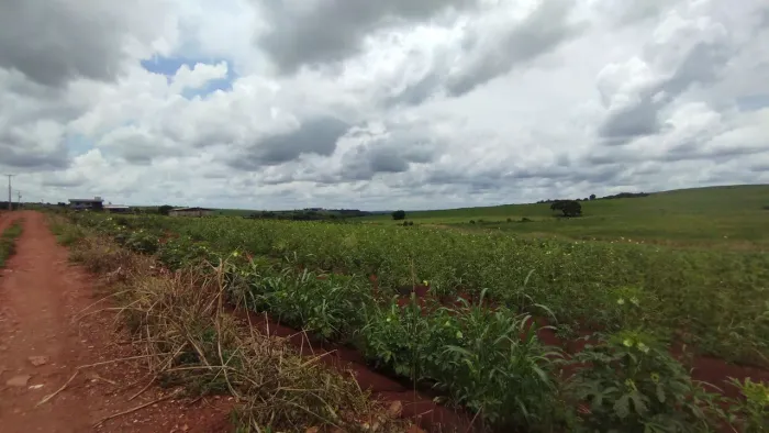 Chácara 5.000m2 próximo da Estrada Venda 200,R$ 400.000,00