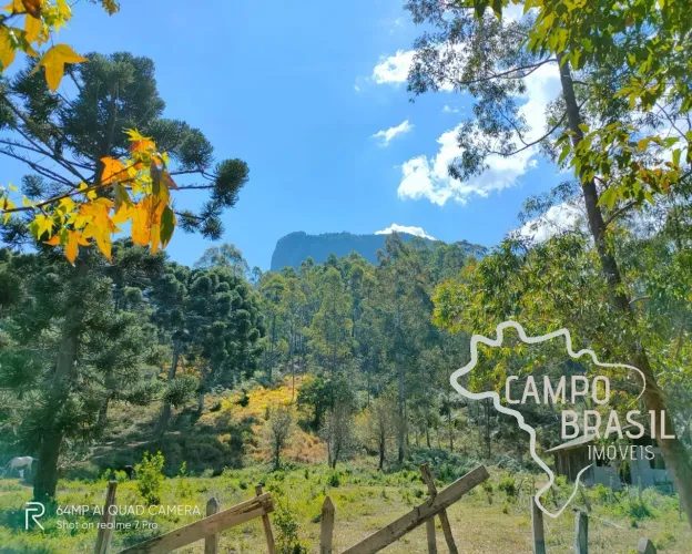 OPORTUNIDADE ÚNICA! ÁREA RURAL 23 HECTARES ABAIXO DA DIVISA DA PEDRA DO BAÚ!