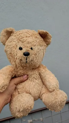 Pelúcia brinquedo