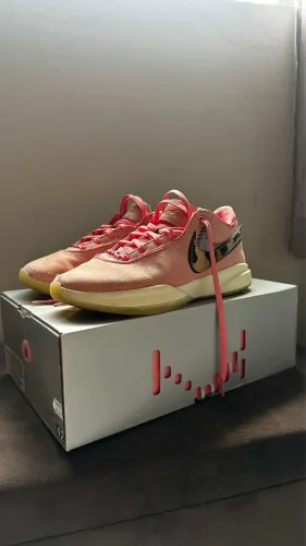 LeBron XX