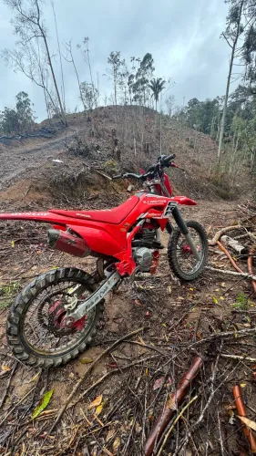 Crf 310f