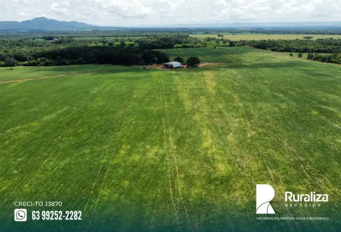 70 ALQUEIRES | 150 HA EM LAVOURA | 10 ANOS PRODUZINDO SOJA