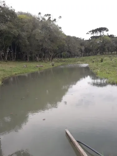 Chacara com casa e tanque peixe