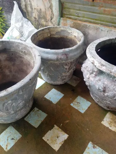 Vendo vasos pra plantar grande