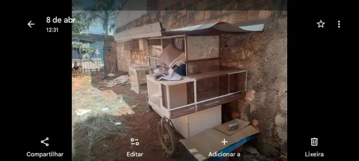 Carinho de pipoca