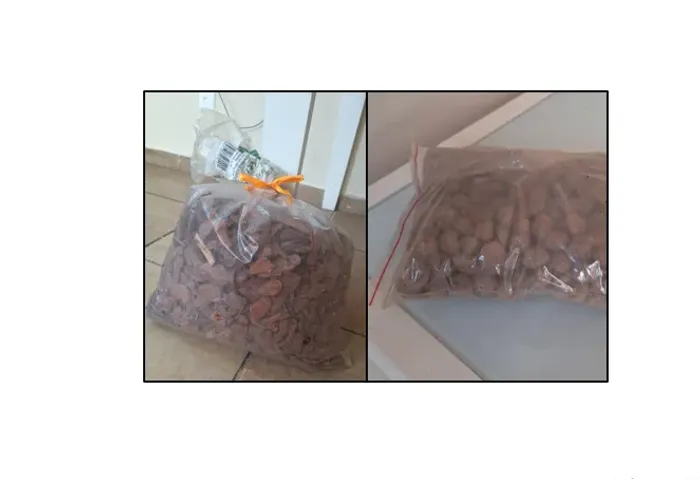 Kit Jardinagem - Argila Expandida 1,5 kg + Casca de Pinus 4 kg