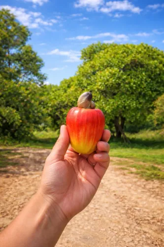 2 Terrenos em Jacumã 15x30 por R$79.000