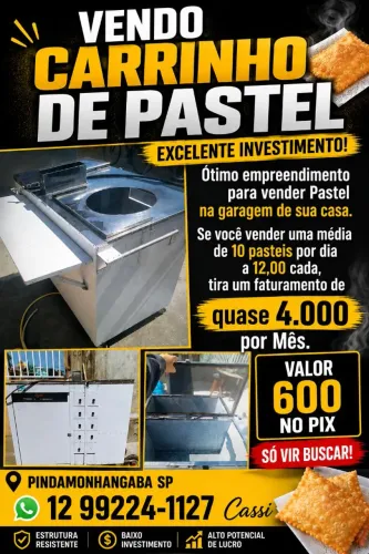 Carrinho de Pastel ! Fature na garagem da sua casa