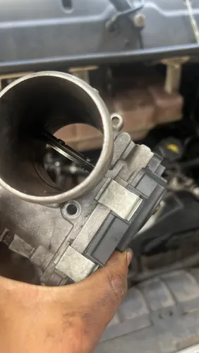 Corpo de borboleta (TBi)