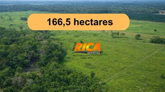 Excelente Fazenda à Venda às Margens da BR-319  Porto Velho/RO
