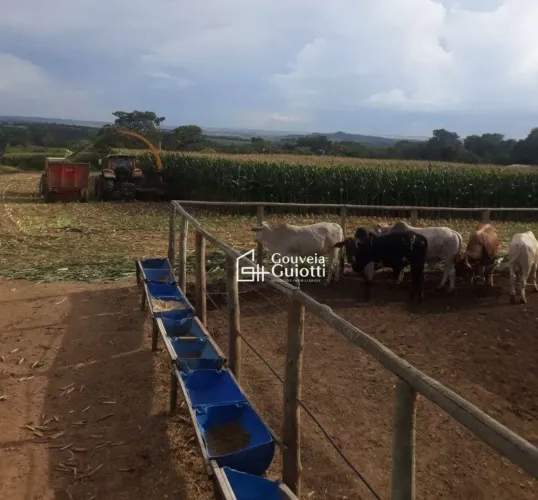 Chácara em Silvânia-GO  3,2 Alqueires de Terra de Cultura, com Área de Lavoura, Pastagens 