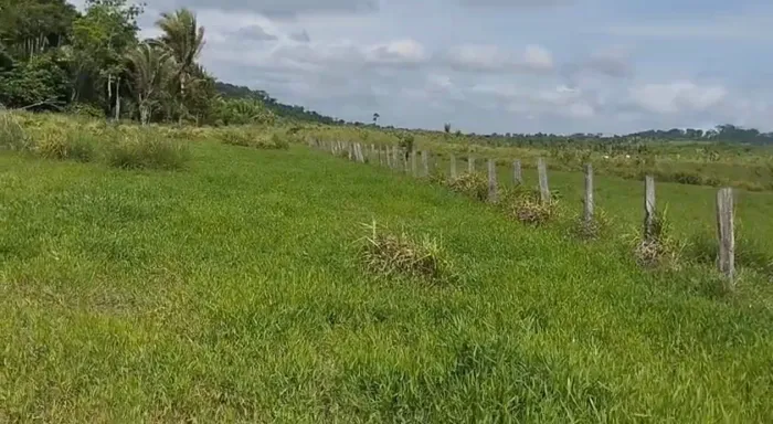 107 Alqueires, 04 Pagamentos