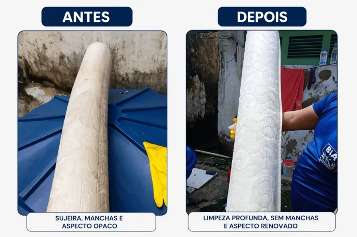 BN HIGIENIZAÇÃO DE ESTOFADOS
