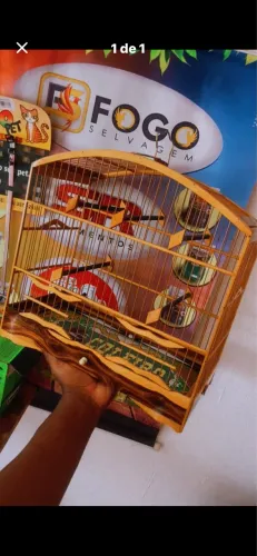 Gaiola padrão torneio