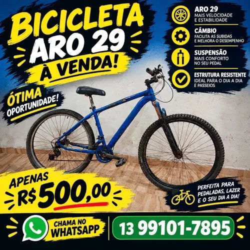 Bicicleta aro 29