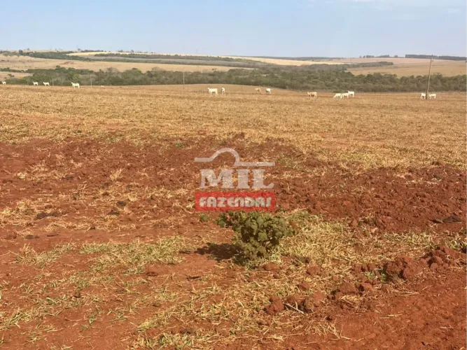 Fazenda 1.942 hectares Campo Grande - MS