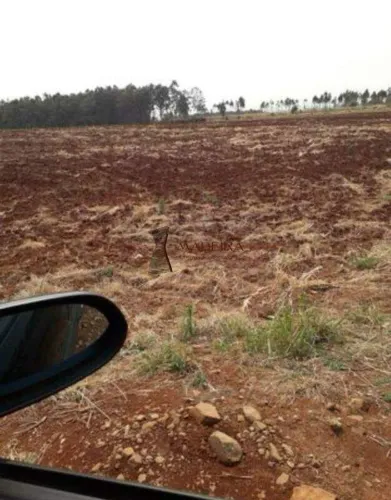ÁREA PARA LOTEAMENTO EM ARAPONGAS - PR