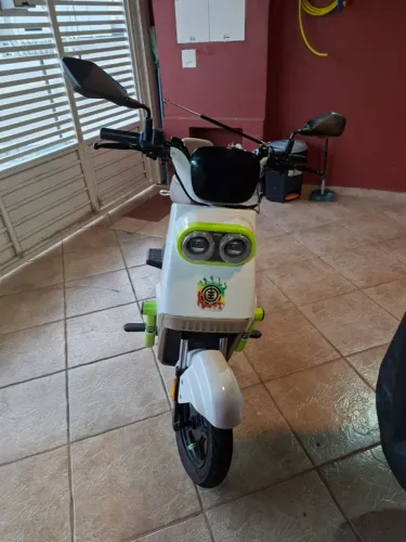 Bicicleta Elétrica Cepry 1000w