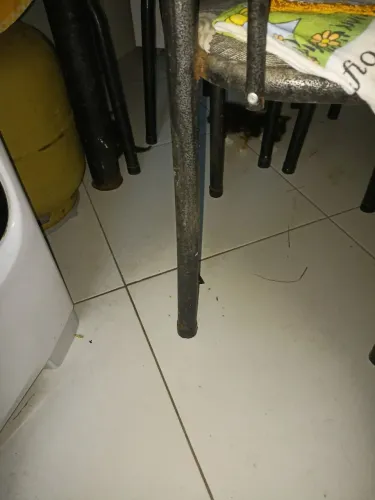 Doação