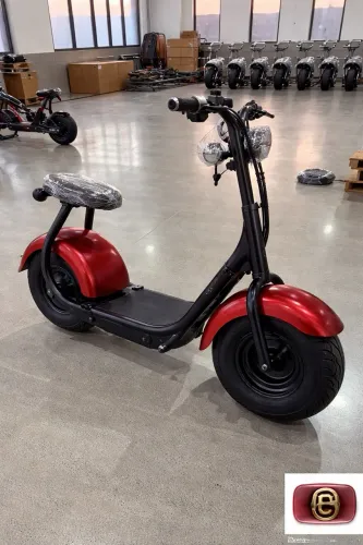 moto elétrica autopropelido 1000w