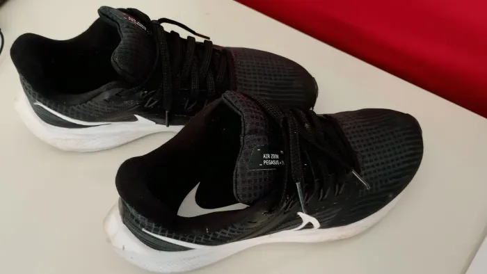 Tênis Nike Pegasus