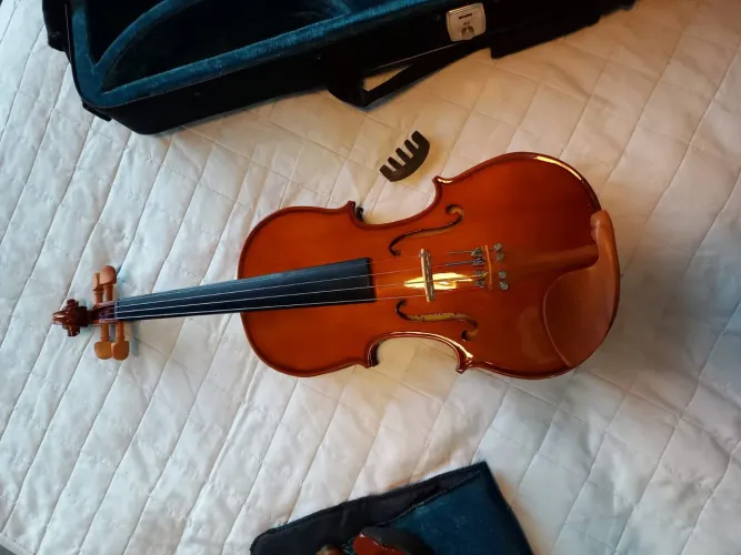 Violino eagle VE441 com acessórios