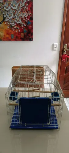 Gaiola para calopsita e pássaros de porte.